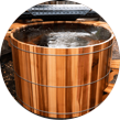 Phenix Saunas